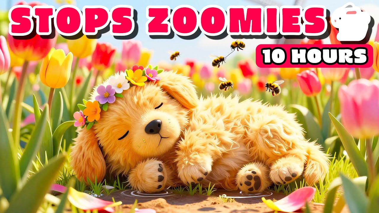 10 HOURS Calm Spring 