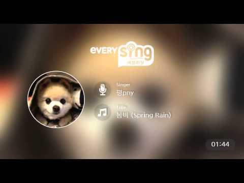 [everysing] 봄비 (Spring Rain)