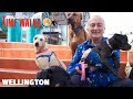 Tony Robinson's Time Walks | S2E6 | Wellington