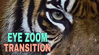 EYE ZOOM TRANSITION|FILMORA 9|iLeenvlogs