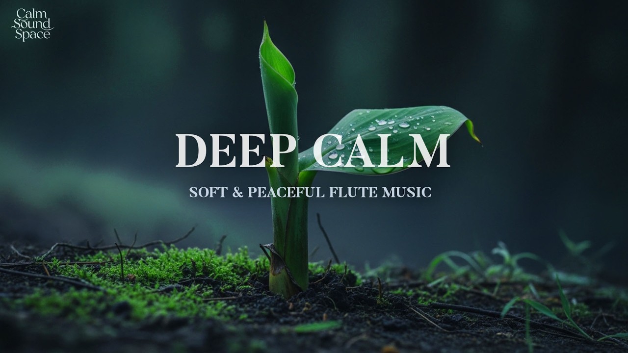 Gentle and soothing flute sounds for full body relaxation 🎵 guiding you into deep sleep tonight 😴✨