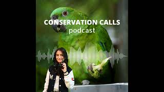 Toucan tales of parrots and partnerships