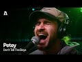 Petey  dont tell the boys  audiotree live