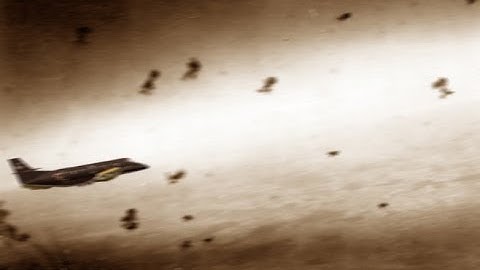 PMDG J41 sustained massive ground fire but survived