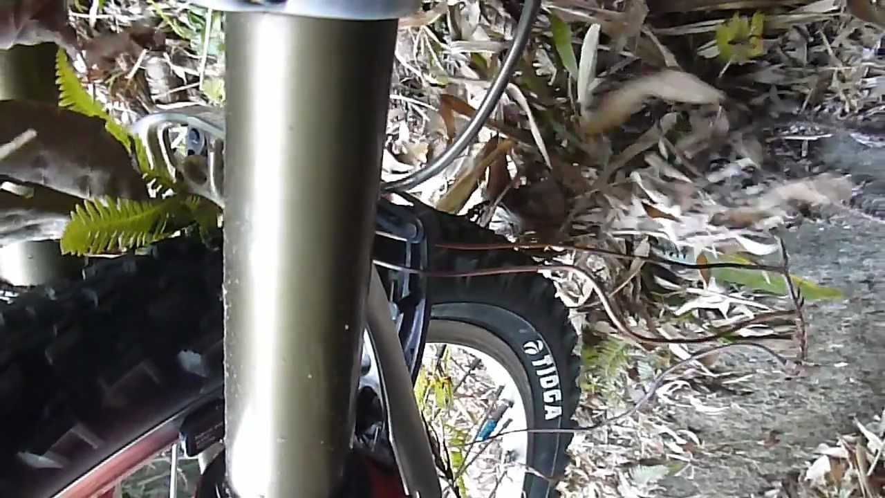 三ヶ根山ＤＨコケシーン