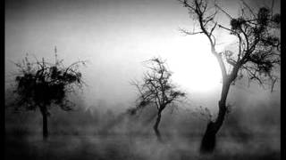 Dormant - Black Ashes