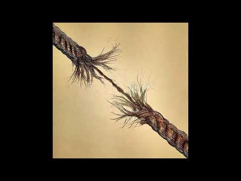 [FREE] EARL SWEATSHIRT TYPE BEAT "HOLDING ON"