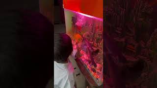 #cutebaby #baby #vanya #trendingshorts #babyactivities #babyshorts #ytshortsindia