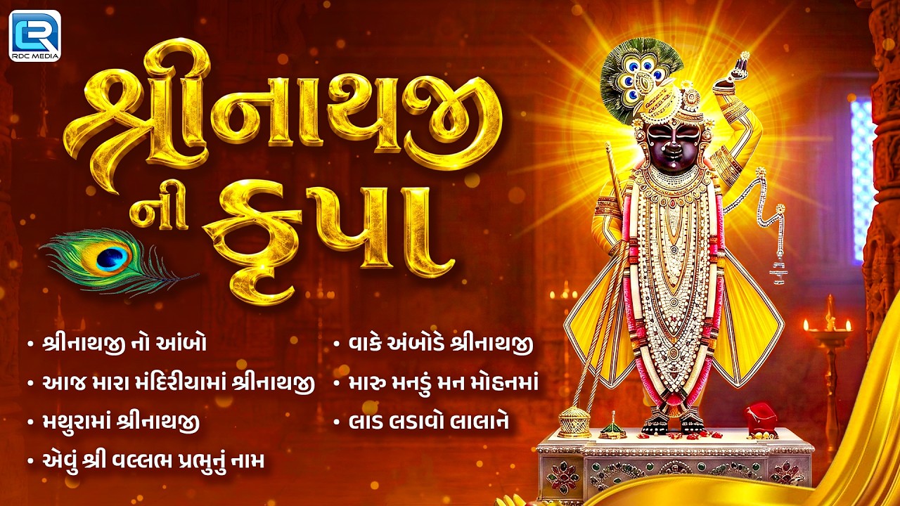 શ્રીનાથજી ની કૃપા | Nonstop Shrinathji Na Bhajan | ભક્તો ને સૌથી વધુ મનગમતા ભજન | AUDIO JUKEBOX