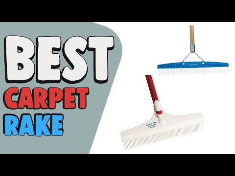 The 7 Best Carpet Rakes for Pet Hair According to Rover Pet Parents