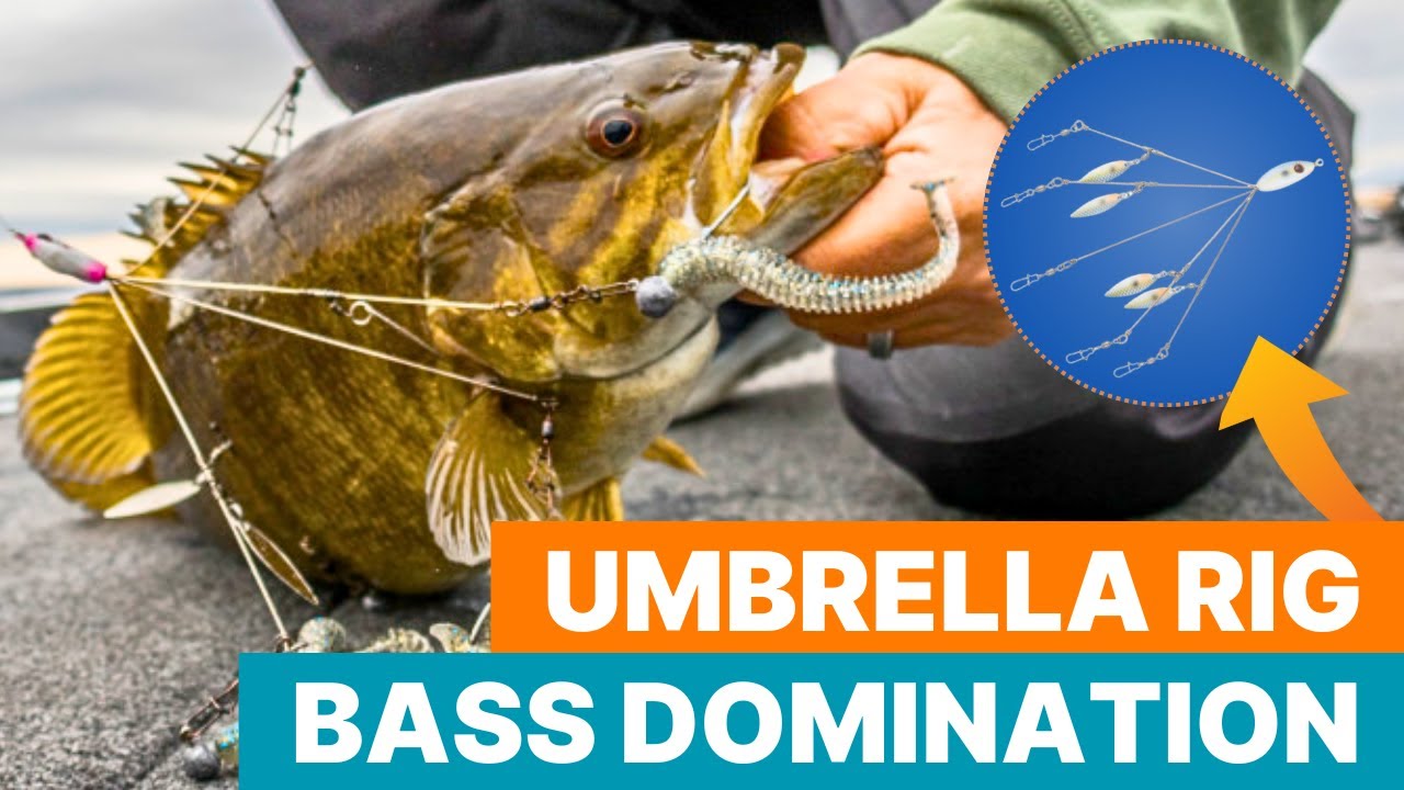 Umbrella Rig Domination: Uncover the Big Bass Secret w/ @TylersReelFishing