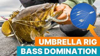 Umbrella Rig Domination: Uncover the Big Bass Secret w/ @TylersReelFishing screenshot 4