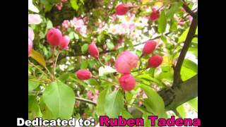 Download Mp3 Atlantis Is Calling - Modern Talking Gudang lagu Download Mp3 Atlantis Is Calling - Modern Talking