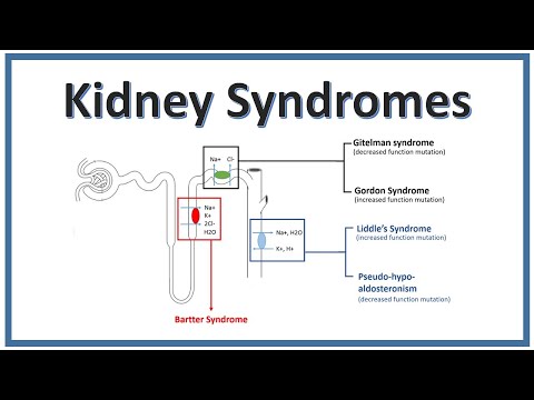 KIDNEY SYNDROMES | Bartter Syndrome, Gitelman Syndrome, Liddle&rsquo;s Syndrome | NEET