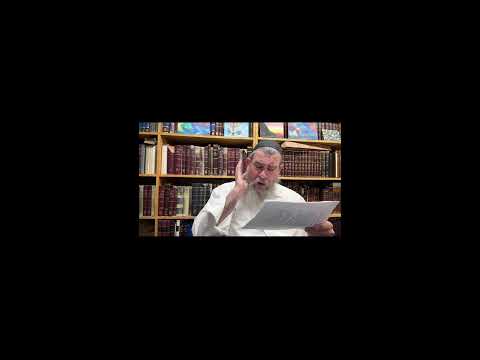 Preview: Ma'amar Dirshu 5731 part 2