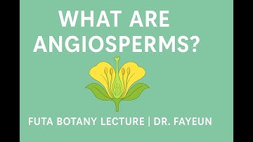Introduction to Angiosperms