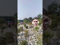 Mask garden #NatureVibes #OutdoorPhotography #GardenView #LandscapeLovers #ScenicBeauty