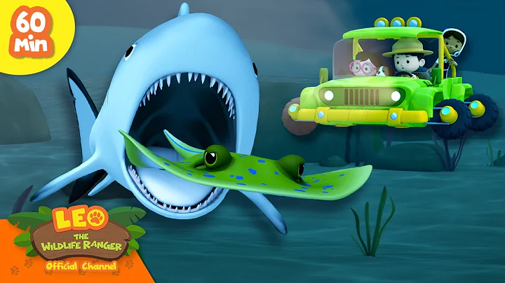 CHASED BY BABY SHARK?! 🦈 | 1 HOUR | Ocean Animals | Leo the Wildlife Ranger | Kids Cartoons