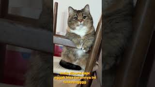 Virall , Help Me Pleasepart5