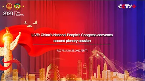 LIVE: China's National People's Congress convenes second plenary session - DayDayNews