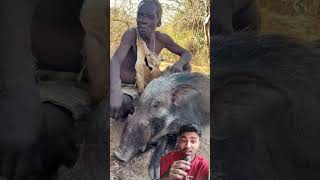 jungali suar #africa #wildlife #animals #duet #nature #facts #tribalunity #wildlifedocumentary