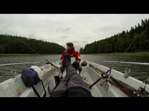 Video: Kus On Parim Kalapüük Moskva Piirkonnas