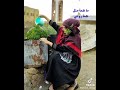 هوى الايام