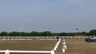 DST Carluccio | Regional Test Elementary 6