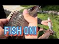 Let’s go bridge fishing in BAD WEATHER