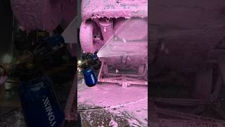 Lavagem Detalhada De Chi -