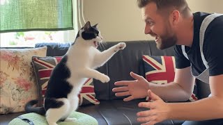 картинка: Когда ваш кот копирует каждое ваше движение, вы не поверите! 😹