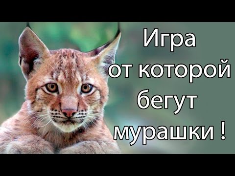 Видео: Игра, от которой бегут мурашки ! ( Shelter 2 )