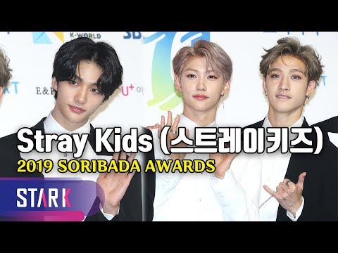 Stray Kids, 2019 <strong>SORIBADA</strong> AWARDS (완벽한 귀공자 비주얼, 스트레이키즈)