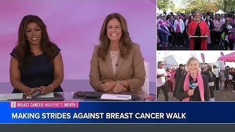 Making Strides Against Breast Cancer walks return to Central Park, on Long Island