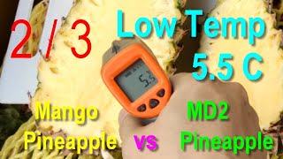 20230531 (Part 2/3) Taiwan Mango pineapple VS Dole Philippines MD2