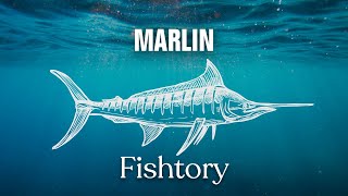 Catching Marlin: Everything You Need To Know | Fishtory