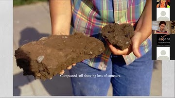 Reducing tree (and soil!) damage during construction