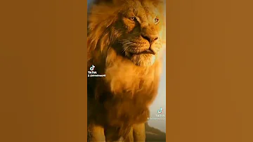 رجعتلكم بعد غياب الاسد ما تهمه ذياب احترام قوة الاسد 