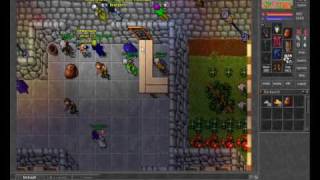 Noob Vacilon king arlaxis