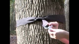 How to install your tree straps