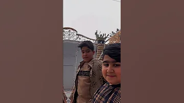 اخوي الما جابته امي 