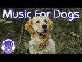 Calm My Dog Down! The BEST Soothing Music for Dogs! - Help with Loud noises and Fireworks