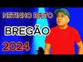 AS  MELHORES DO BREGÃO Netinho Brito 2024