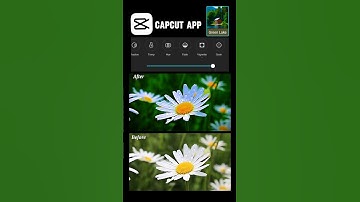 "How to Color Grading with CapCut | Easy Tutorial 2024