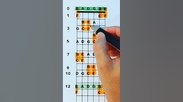 Como MEMORIZAR as notas no braço do violão com facilidade