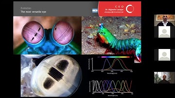 Curso OCT y OCT-A - Módulo 3