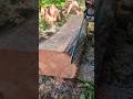 Aserrando madera con motosierra..!!#woodwork #asmrvideo #chainsaw
