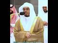 يا أيها الذين آمنوا اذكروا الله ذكرا كثيرا تلاوة بصوت الشيخ ياسر الدوسري يا أيها الذين آمنوا اذكروا الله ذكرا كثيرا تلاوة بصوت الشيخ ياسر الدوسري