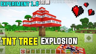 TNT tree explosion experiment 1.0 in minecraft 🔥🔥🔥🔥🔥