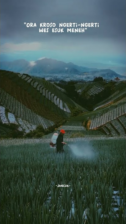 story' wa Tangi turu isuk. pagi-pagi inpo ngopi. si paling rebahan